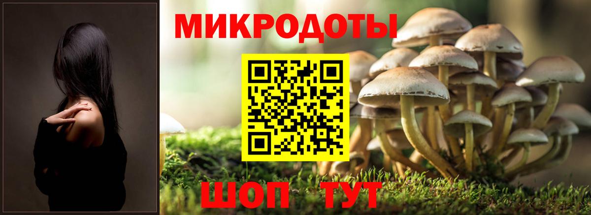 Галлюциногенные грибы Cubensis  Вход с VPN  Рязань 